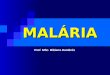 MALÁRIA Prof. MSc. Bibiana Dambrós. INTRODUÇÃO Malária, Paludismo. Impaludismo, Sezão, Maleita Doença tropical e parasitária que mais causa problemas