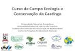 Curso de Campo Ecologia e Conservação da Caatinga Universidade Federal de Pernambuco Universidade Federal do Vale do São Francisco Instituto Chico Mendes