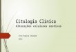 Citologia Clínica Alterações celulares reativas Vera Regina Andrade 2014
