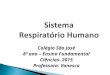 Sistema Respiratório Humano Colégio São José 8º ano – Ensino Fundamental Ciências- 2015 Professora: Vanesca