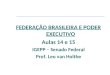 FEDERAÇÃO BRASILEIRA E PODER EXECUTIVO Aulas 14 e 15 IGEPP – Senado Federal Prof. Leo van Holthe