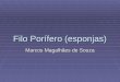 Filo Porífero (esponjas) Marcos Magalhães de Souza