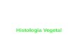 Histologia Vegetal. Tecidos Vegetais São os grupos de células igualmente especializadas,de mesma origem embrionária e que realizam funções determinadas