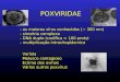POXVIRIDAE - os maiores vírus conhecidos (~ 300 nm) - simetria complexa - DNA duplo (codifica > 100 prots) - multiplicação intracitoplásmica Varíola Molusco