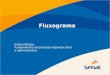Fluxograma Juliana Borges Fundamentos do processo organizacional e administrativo