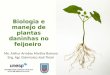 Biologia e manejo de plantas daninhas no feijoeiro Me. Arthur Arrobas Martins Barroso Eng. Agr. Gianmarco José Tironi