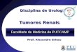 Disciplina de Urologia Faculdade de Medicina da PUCCAMP Tumores Renais Prof. Alexandre Grieco