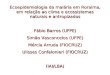 Ecoepidemiologia da malária em Roraima, em relação ao clima e ecossistemas naturais e antropizados Fábio Barros (UFPE) Simão Vasconcelos (UFPE) Mércia
