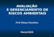 1 AVALIAÇÃO E GERENCIAMENTO DE RISCOS AMBIENTAIS Prof Eltiza Rondino Maio/2009