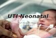 UTI Neonatal Profª Mônica I. Wingert Turma 301.  
