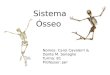 Sistema Ósseo Nomes: Carol Cavalerri & Dante M. Sonaglio Turma: 81 Professor: Jair