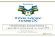 Flexibilização procedimental e calendário processual no novo CPC Ricardo Villas Bôas Cueva Ministro do Superior Tribunal de Justiça 1