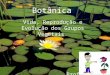 Botânica Vida, Reprodução e Evolução dos Grupos Vegetais. Prof. Magrão