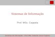 Sistemas de Informação – Prof. MSc. Eduardo Jesus Coppola Sistemas de Informação Prof. MSc. Coppola
