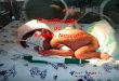 Profª Mônica I. Wingert Turma 201. Considerando as características da fase perinatal e neonatal, é necessário estabelecer a classificação de cada recém-nascido