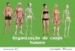 Organização do corpo humano. O corpo humano como um sistema O corpo humano é um sistema, ou seja, tem um conjunto de componentes que se relacionam e permitem