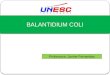 BALANTIDIUM COLI Professora: Janine Fernandes. Gênero: Balatidium Espécie: Balantidium coli Balantidium coli