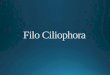 Cilio phora= Portador de cílios  Cílios ou estruturas ciliares compostas como organelas locomotoras ou captura de alimentos; Boca ciliar ou citóstomo;
