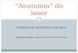 FABÍOLA DE ALMEIDA CAMARGO ORIENTADOR: NIKLAUS URSUS WETTER “Anatomia” do laser
