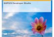 SAP Fiori - Setting Up UI Development Toolkit for HTML5 (SAPUI5)