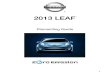 2013 Nissan Leaf Dg