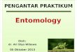 ASISTEN PARASIT.pptx Entomologi