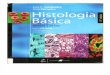 Histologia Basica 11Edicao - Junqueira e Carneiro