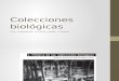 Colecciones Biológicmacroas Espo