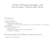 The Physiology of Human Sexual Act (Final)
