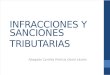 Infracciones y Sanciones Diapositivas 2015 FINAL Provincia (1) - Copia