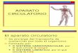 Aparato_circulatorio Clase 4 Final