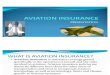 42628580 Aviation Insurance