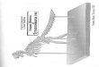 252743555 Issei Yoshinsdsdsdo Origami Skeleton of T Rex