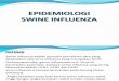 Epid Swine Influenza