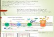 MALU_ORE_Metabolic Network Constrains Gene Regulation of C4 Photosynthesis.pdf