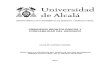 Tesis Universidad de Alcalaq.pdf