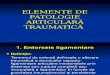 Patologie Articulara Traumatica