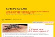 Dengue 20 Preguntas
