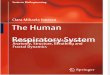 The Human Respiratory System - An Analysis of the Interplay Between Anatomy, Structure, Breathing and Fractal Dynamics (2013) 2