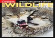 Canadian Geographic - Best Wildlife Photography 2014