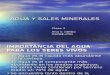 AGUA Y SALES MINERALES.ppt