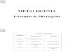 Clase 1 Metalogenia