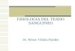 Fisiologia Tejido Sanguineo (1)