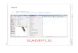 Construction Documents in SU Pro_SAMPLE ONLY