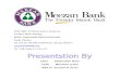Prodects and Documentation of Meezan Bank Ltd