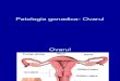 10) Ovarul. Infertilitatea. - Ppt