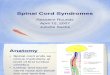 2007 04 12-Sacks-Spinal Cord Syndromes