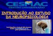 NEUROPSICOLOGIA -INTRODUÇÃO.pdf