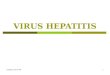 7.4. Virus Hepatitis