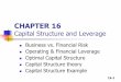 14W-Ch 16 Capital Structure Decisions - Basics